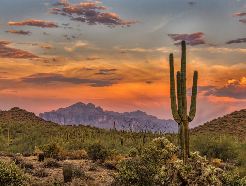 Sunset in the Sonoran Desert near Phoenix, Arizona